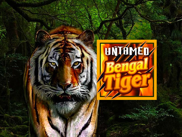 Automat so symbolmi zvierat Untamed Bengal Tiger