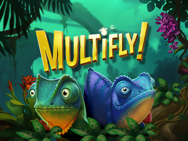 Multifly!