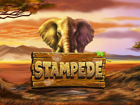 Stampede Betsoft